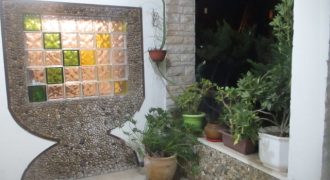 נופש בבני ברק בוילה ענקית עם בריכה גדולה וחצר ענקית אחורית מוצלת ומוסתרת