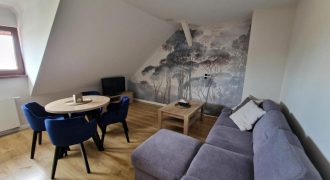 אירוח נוחה ושקטה בליזענסק 20 דקות הליכה מהציון של רבי אלימלך