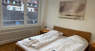 במרכז החרדי של ציריך – דירת חדר נעימה