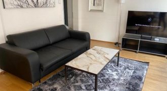 דירת חדר שינה אחד נהדרת במרכז העיר – מערב 7